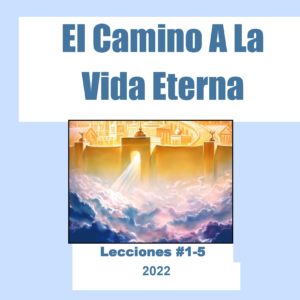 El Camino a La Vide Eterna (5 Estudios)